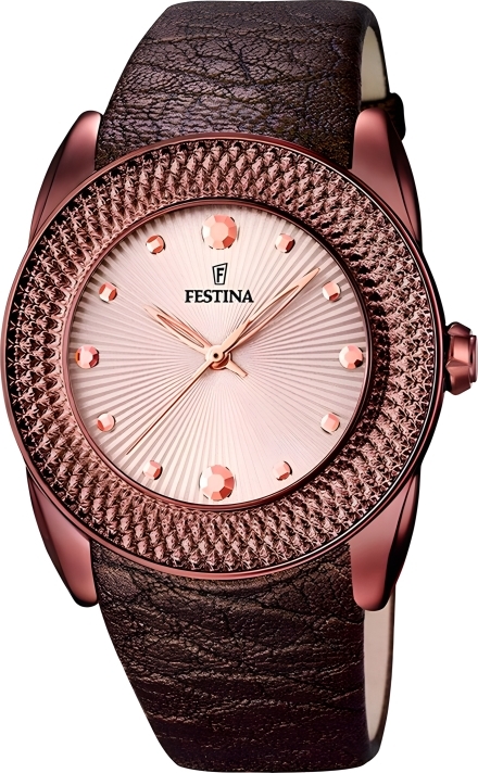 Часы Festina F16591/C