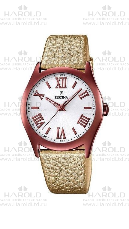Часы Festina F16649/6