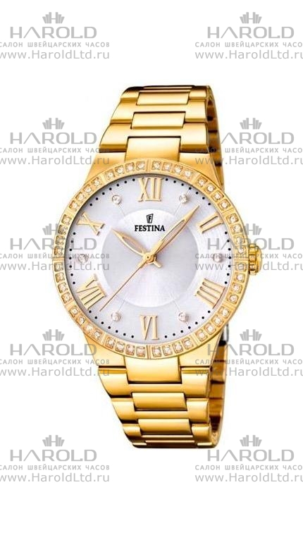 Часы Festina F16720/1