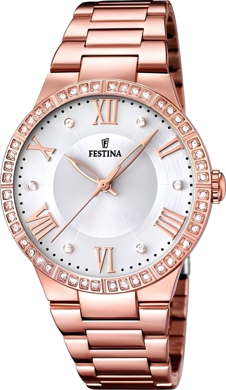 Часы Festina F16721/1