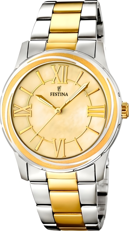 Часы Festina F16723/1