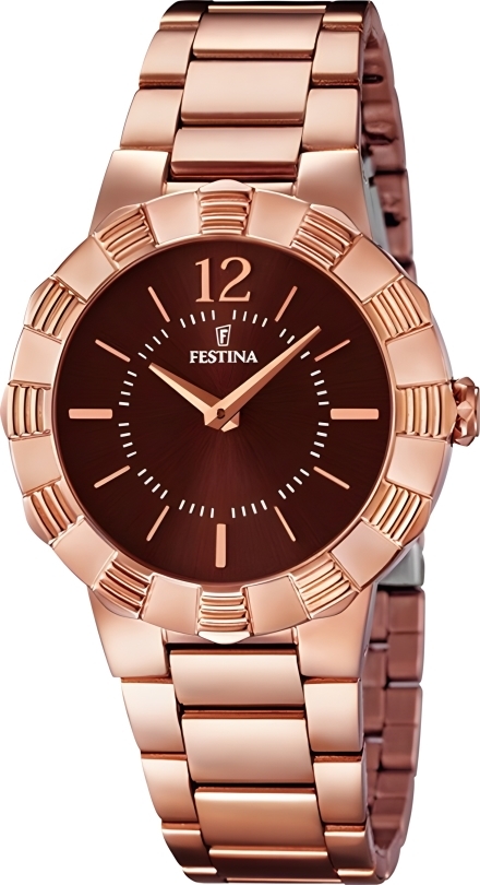 Часы Festina F16733/2