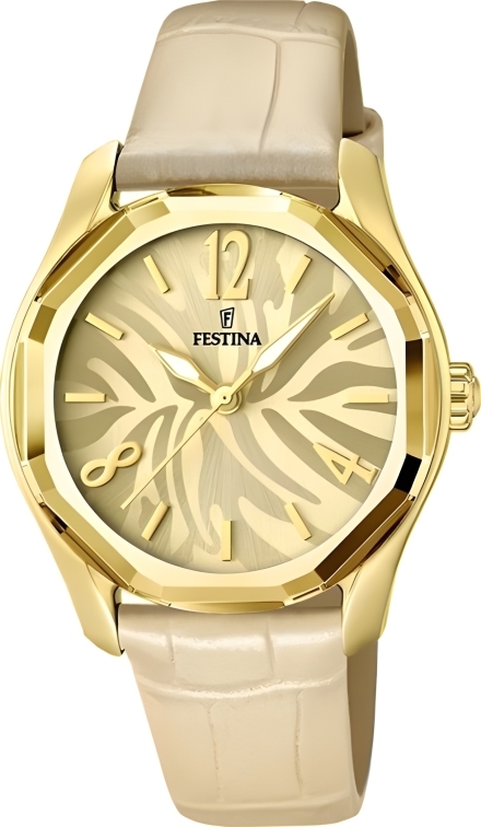 Часы Festina F16738/2