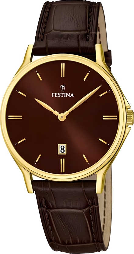 Часы Festina F16747/3