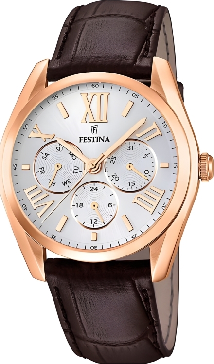Часы Festina F16754/1