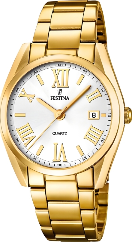 Часы Festina F16792/1