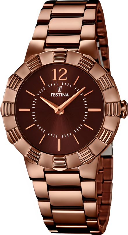 Часы Festina F16800/2