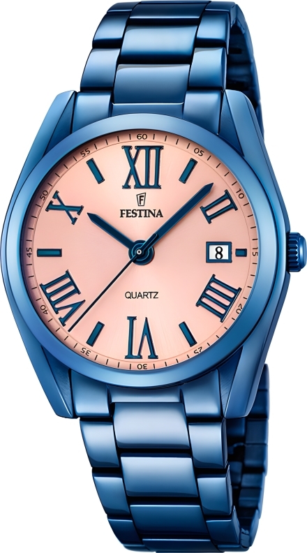 Часы Festina F16864/1