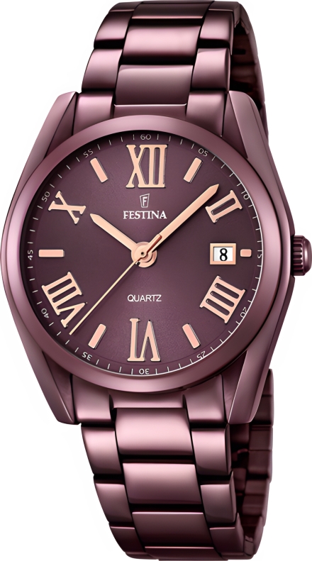 Часы Festina F16865/1