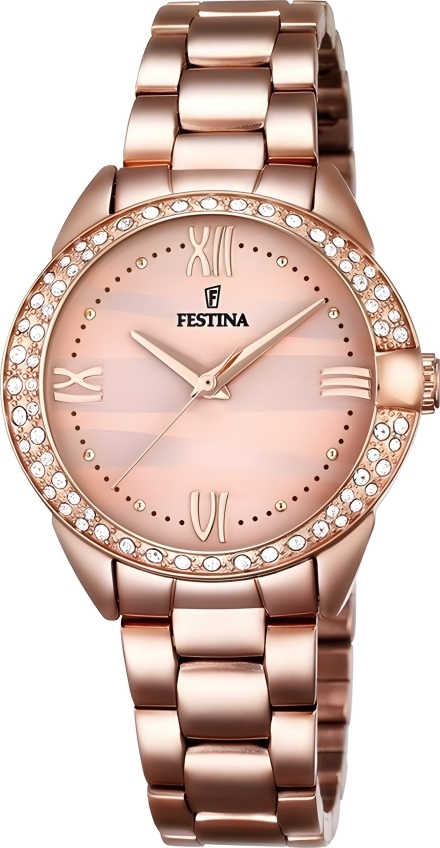 Часы Festina F16920/2
