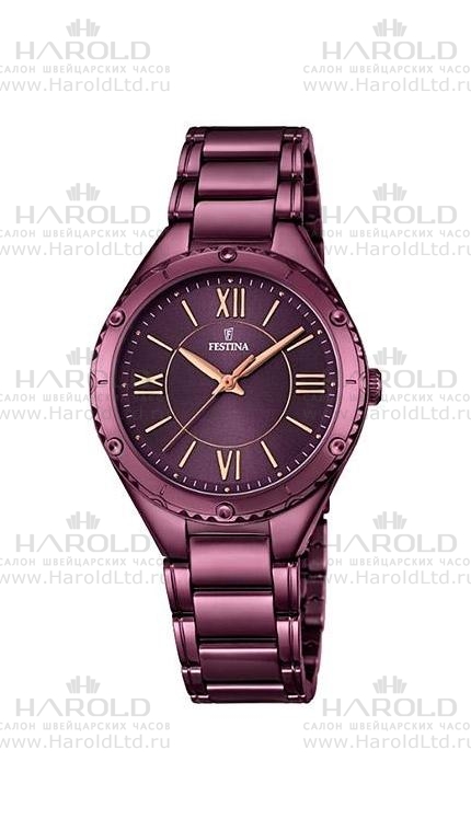 Часы Festina F16924/2