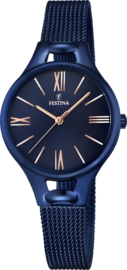 Часы Festina F16953/2