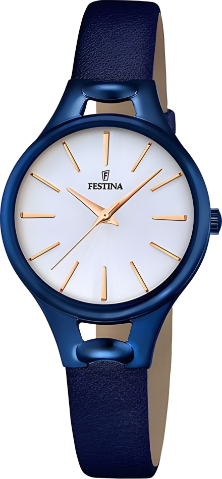 Часы Festina F16957/1