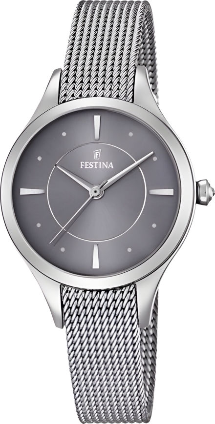 Часы Festina F16958/2