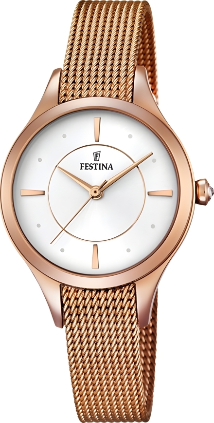 Часы Festina F16960/1