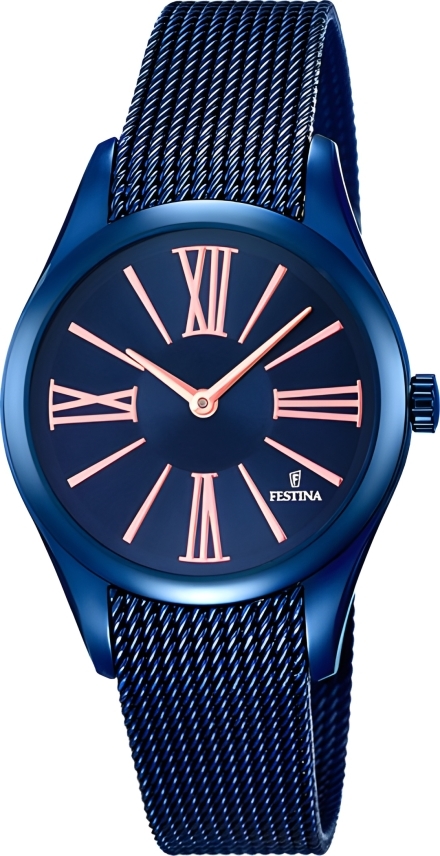 Часы Festina F16963/1