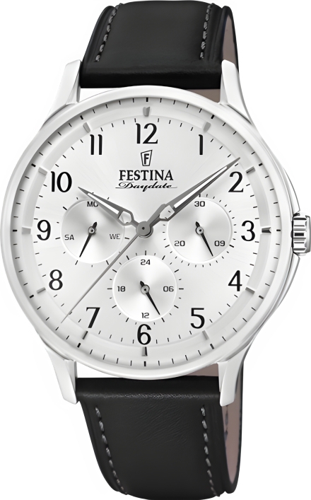 Часы Festina F16991/1