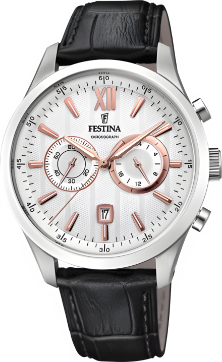 Часы Festina F16996/1