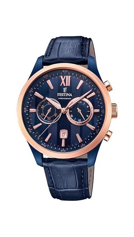 Часы Festina F16998/1