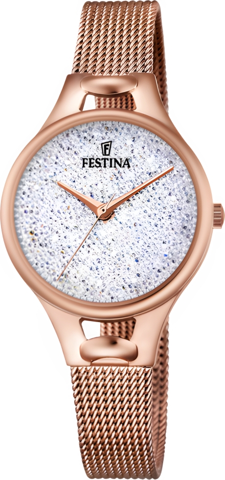 Часы Festina F20333/1