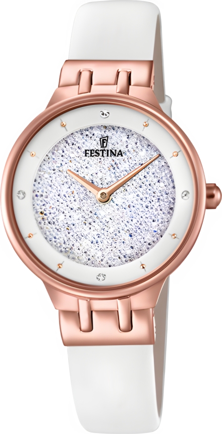 Часы Festina F20406/1